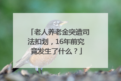 老人养老金突遭司法扣划，16年前究竟发生了什么？