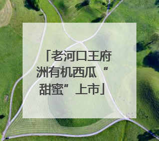 老河口王府洲有机西瓜“甜蜜”上市