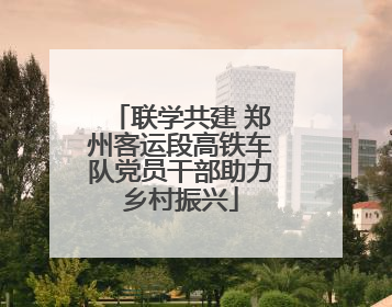 联学共建 郑州客运段高铁车队党员干部助力乡村振兴