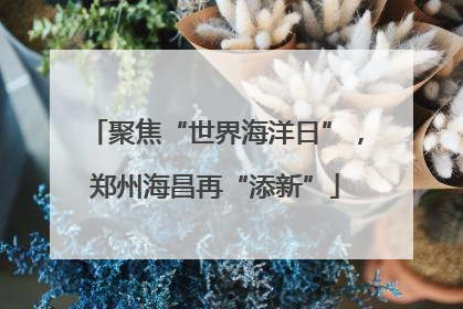 聚焦“世界海洋日”，郑州海昌再“添新”