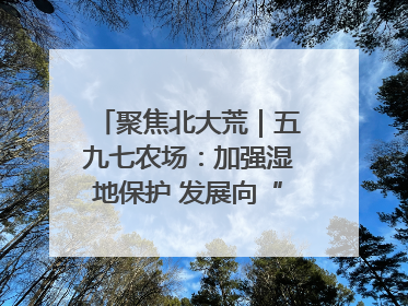 聚焦北大荒｜五九七农场：加强湿地保护 发展向“绿”而行