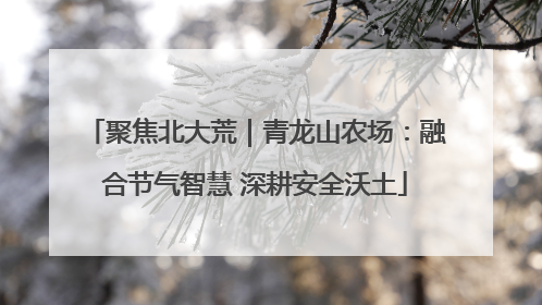 聚焦北大荒｜青龙山农场：融合节气智慧 深耕安全沃土