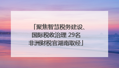 聚焦智慧税务建设、国际税收治理 29名非洲财税官湖南取经