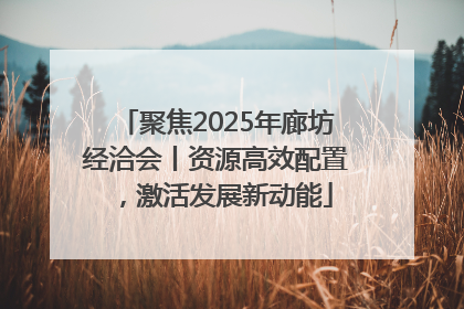 聚焦2025年廊坊经洽会丨资源高效配置，激活发展新动能