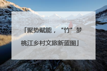 聚势赋能，“竹”梦桃江乡村文旅新蓝图