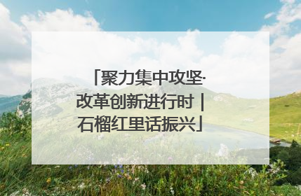 聚力集中攻坚·改革创新进行时｜石榴红里话振兴