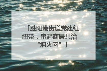 胜阳港街道党建红纽带，串起商居共治 “烟火圈”
