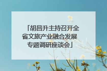 胡昌升主持召开全省文旅产业融合发展专题调研座谈会