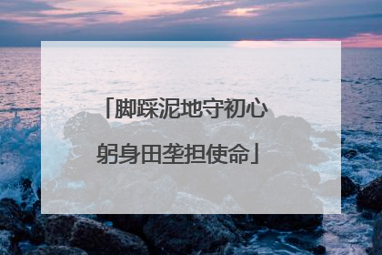 脚踩泥地守初心 躬身田垄担使命