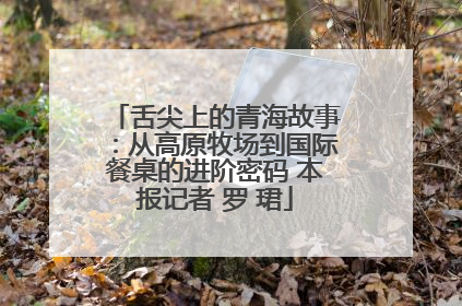 舌尖上的青海故事：从高原牧场到国际餐桌的进阶密码 本报记者 罗 珺