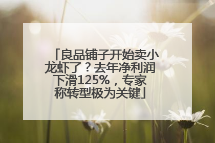 良品铺子开始卖小龙虾了？去年净利润下滑125%，专家称转型极为关键
