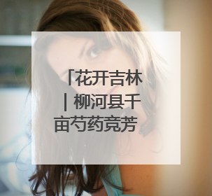 花开吉林｜柳河县千亩芍药竞芳菲