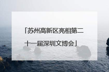 苏州高新区亮相第二十一届深圳文博会