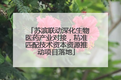 苏滨联动深化生物医药产业对接，精准匹配技术资本资源推动项目落地