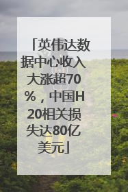 英伟达数据中心收入大涨超70%，中国H20相关损失达80亿美元