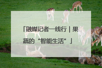 融媒记者一线行｜果蔬的“智能生活”