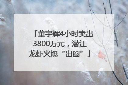 董宇辉4小时卖出3800万元，潜江龙虾火爆“出圈”