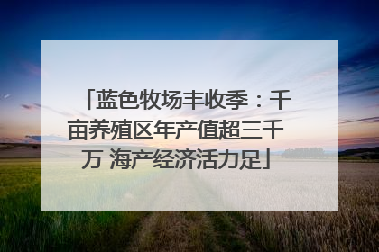 蓝色牧场丰收季：千亩养殖区年产值超三千万 海产经济活力足
