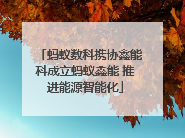 蚂蚁数科携协鑫能科成立蚂蚁鑫能 推进能源智能化