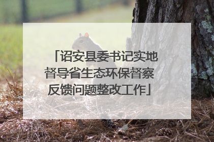 诏安县委书记实地督导省生态环保督察反馈问题整改工作