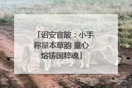 诏安官陂：小手称量本草韵 童心熔铸国粹魂