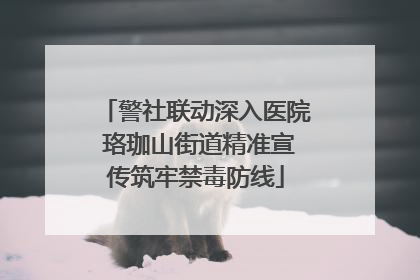 警社联动深入医院 珞珈山街道精准宣传筑牢禁毒防线