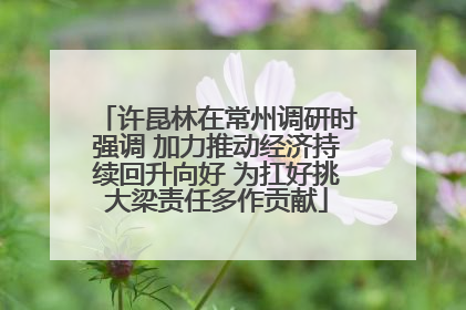 许昆林在常州调研时强调 加力推动经济持续回升向好 为扛好挑大梁责任多作贡献