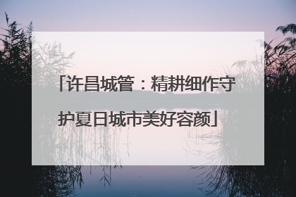 许昌城管：精耕细作守护夏日城市美好容颜