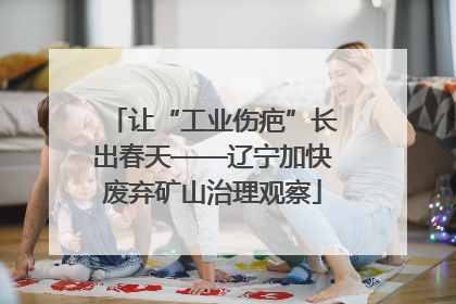让“工业伤疤”长出春天——辽宁加快废弃矿山治理观察