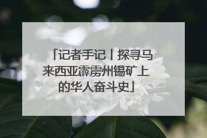 记者手记丨探寻马来西亚霹雳州锡矿上的华人奋斗史
