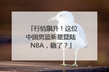 行情飙升！这位中国男篮新星登陆NBA，稳了？