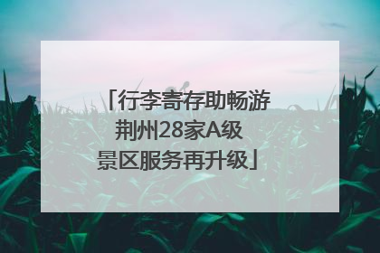 行李寄存助畅游 荆州28家A级景区服务再升级