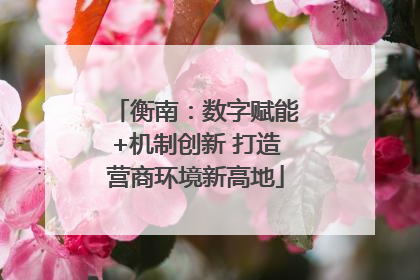 衡南：数字赋能+机制创新 打造营商环境新高地