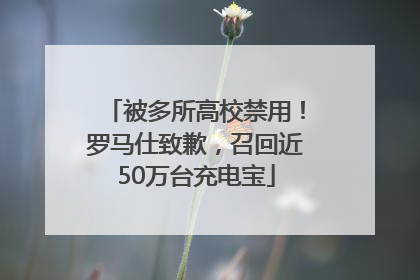 被多所高校禁用！罗马仕致歉，召回近50万台充电宝