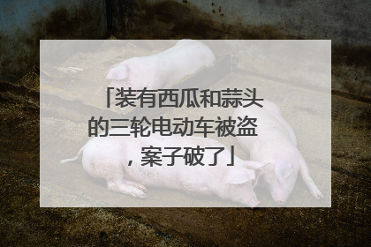 装有西瓜和蒜头的三轮电动车被盗，案子破了