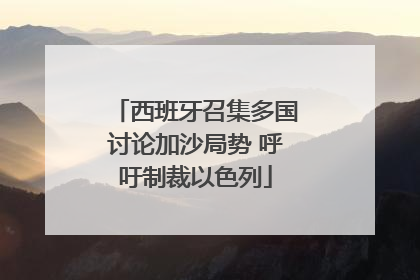 西班牙召集多国讨论加沙局势 呼吁制裁以色列