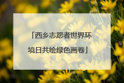 西乡志愿者世界环境日共绘绿色画卷