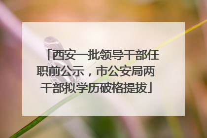 西安一批领导干部任职前公示，市公安局两干部拟学历破格提拔