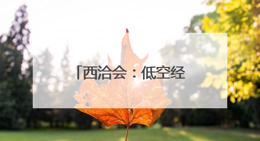 西洽会：低空经济展商引关注