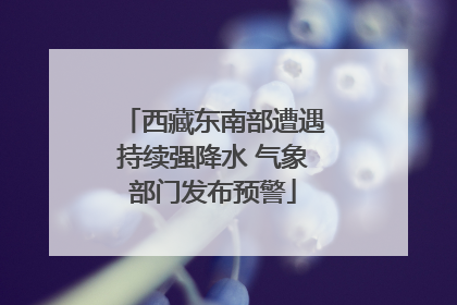 西藏东南部遭遇持续强降水 气象部门发布预警