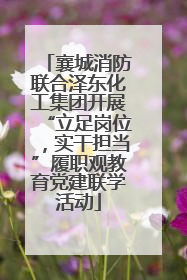 襄城消防联合泽东化工集团开展“立足岗位，实干担当”履职观教育党建联学活动
