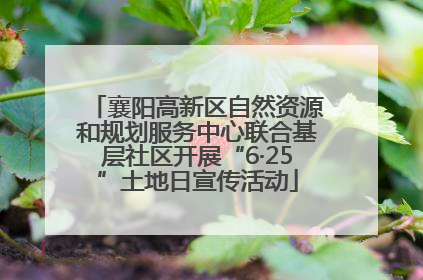 襄阳高新区自然资源和规划服务中心联合基层社区开展“6·25”土地日宣传活动
