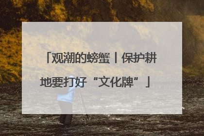 观潮的螃蟹丨保护耕地要打好“文化牌”