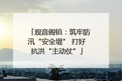 观音阁镇：筑牢防汛“安全堤” 打好抗洪“主动仗”