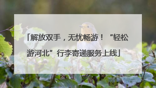 解放双手，无忧畅游！“轻松游河北”行李寄递服务上线