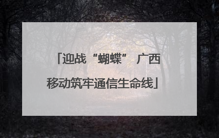 迎战“蝴蝶” 广西移动筑牢通信生命线