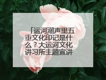 运河潮声里五重文化印记是什么？大运河文化讲习所主题宣讲为市民揭秘