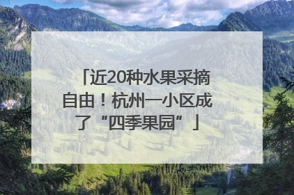 近20种水果采摘自由！杭州一小区成了“四季果园”