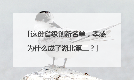 这份省级创新名单，孝感为什么成了湖北第二？