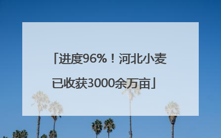 进度96%！河北小麦已收获3000余万亩